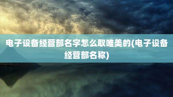 电子设备经营部名字怎么取唯美的(电子设备经营部名称)