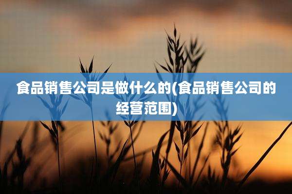 食品销售公司是做什么的(食品销售公司的经营范围)