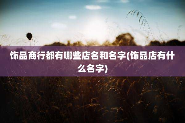 饰品商行都有哪些店名和名字(饰品店有什么名字)