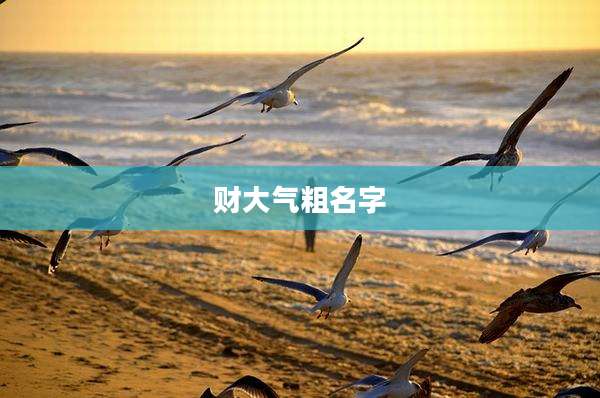 财大气粗名字
