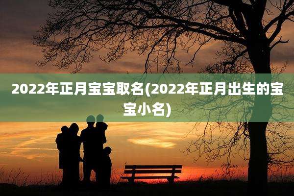 2022年正月宝宝取名(2022年正月出生的宝宝小名)