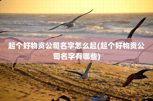 起个好物资公司名字怎么起(起个好物资公司名字有哪些)