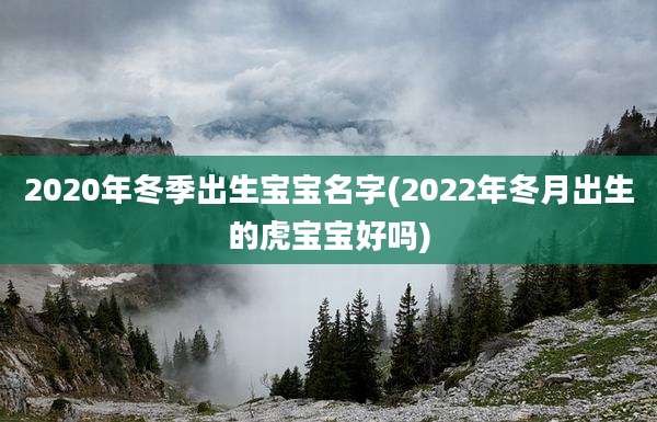 2020年冬季出生宝宝名字(2022年冬月出生的虎宝宝好吗)