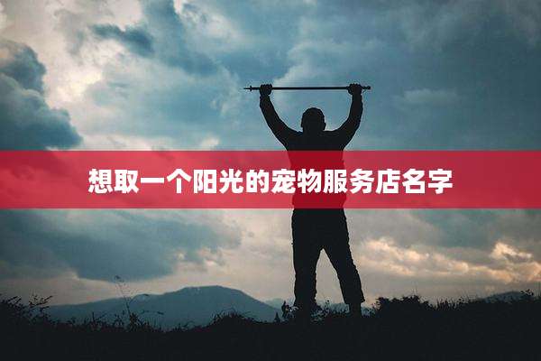 想取一个阳光的宠物服务店名字