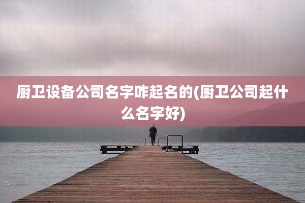 厨卫设备公司名字咋起名的(厨卫公司起什么名字好)
