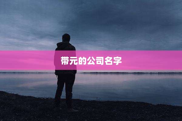 带元的公司名字