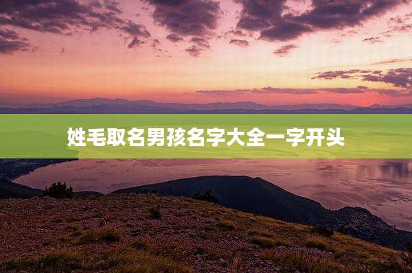 姓毛取名男孩名字大全一字开头