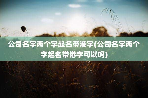 公司名字两个字起名带港字(公司名字两个字起名带港字可以吗)