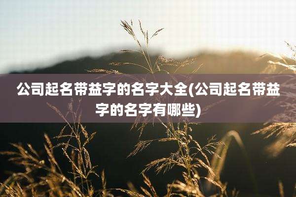公司起名带益字的名字大全(公司起名带益字的名字有哪些)