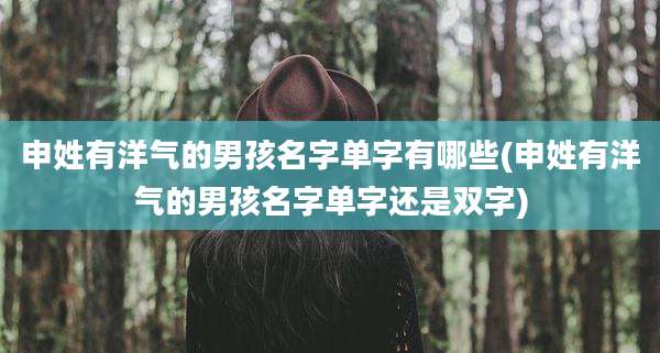申姓有洋气的男孩名字单字有哪些(申姓有洋气的男孩名字单字还是双字)