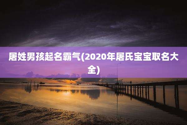 屠姓男孩起名霸气(2020年屠氏宝宝取名大全)