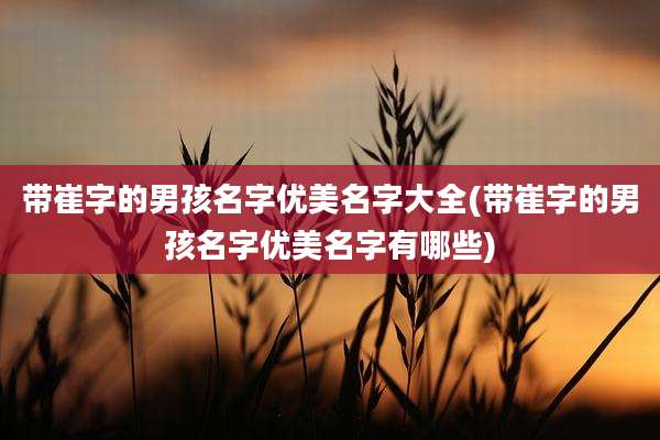带崔字的男孩名字优美名字大全(带崔字的男孩名字优美名字有哪些)