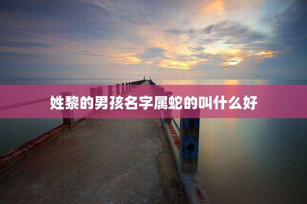 姓黎的男孩名字属蛇的叫什么好