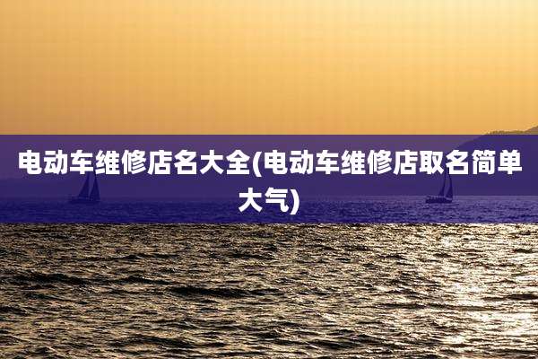 电动车维修店名大全(电动车维修店取名简单大气)