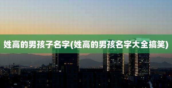 姓高的男孩子名字(姓高的男孩名字大全搞笑)