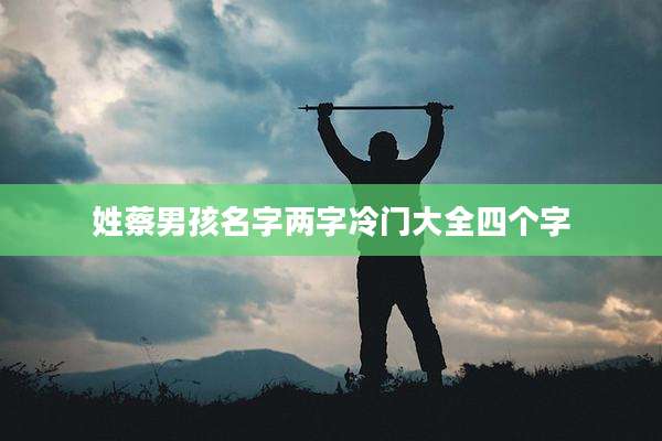 姓蔡男孩名字两字冷门大全四个字