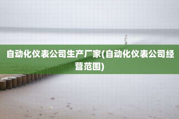自动化仪表公司生产厂家(自动化仪表公司经营范围)