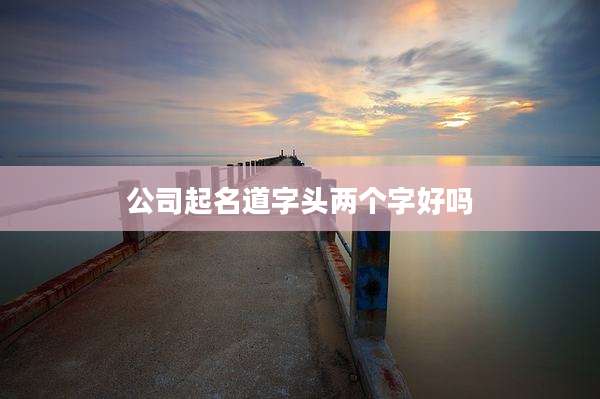 公司起名道字头两个字好吗