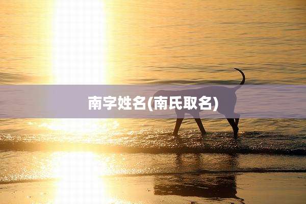 南字姓名(南氏取名)