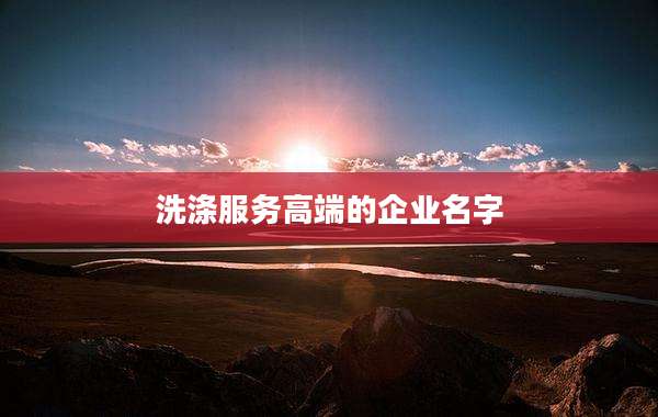 洗涤服务高端的企业名字