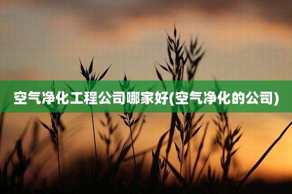 空气净化工程公司哪家好(空气净化的公司)