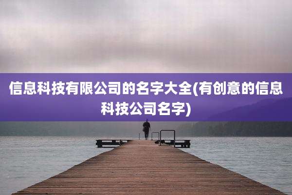 信息科技有限公司的名字大全(有创意的信息科技公司名字)
