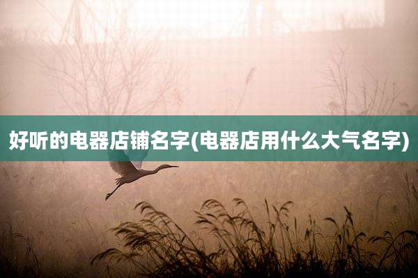 好听的电器店铺名字(电器店用什么大气名字)