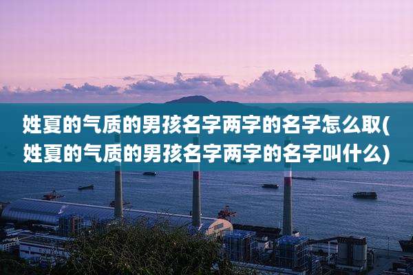 姓夏的气质的男孩名字两字的名字怎么取(姓夏的气质的男孩名字两字的名字叫什么)