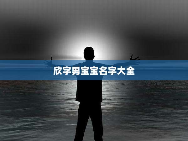欣字男宝宝名字大全