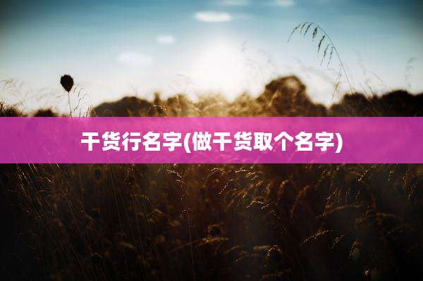 干货行名字(做干货取个名字)