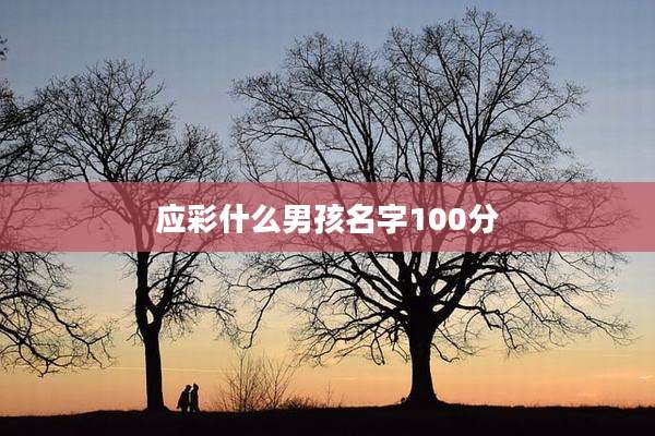 应彩什么男孩名字100分