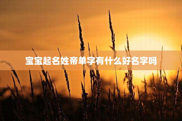 宝宝起名姓帝单字有什么好名字吗