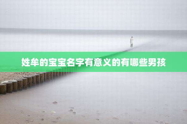姓牟的宝宝名字有意义的有哪些男孩