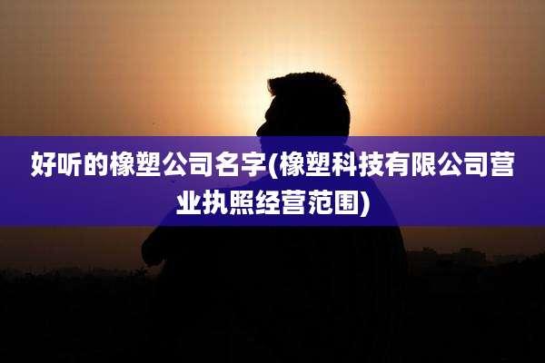 好听的橡塑公司名字(橡塑科技有限公司营业执照经营范围)