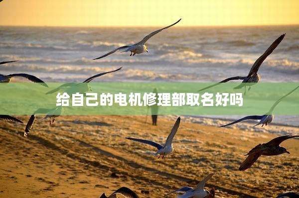 给自己的电机修理部取名好吗