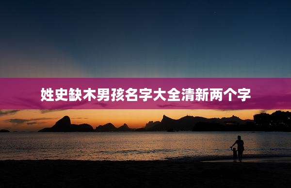 姓史缺木男孩名字大全清新两个字