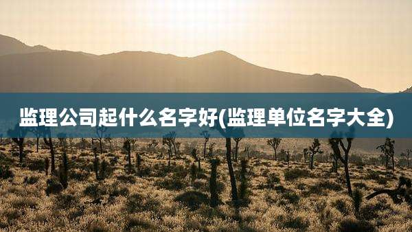 监理公司起什么名字好(监理单位名字大全)