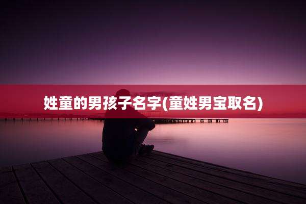 姓童的男孩子名字(童姓男宝取名)