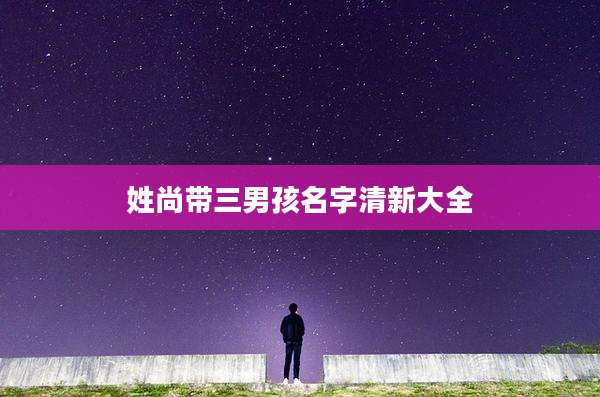 姓尚带三男孩名字清新大全