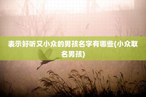 表示好听又小众的男孩名字有哪些(小众取名男孩)