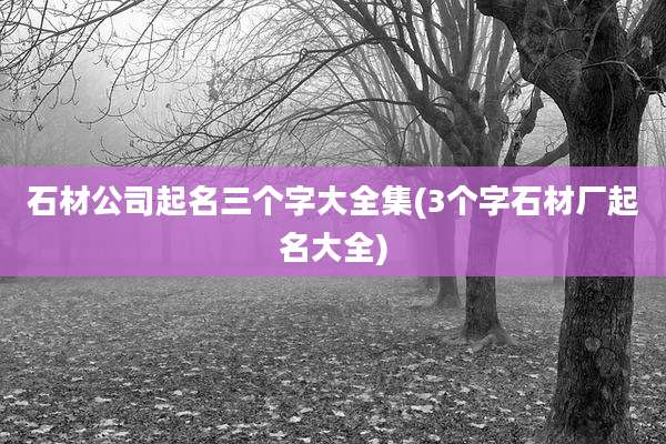 石材公司起名三个字大全集(3个字石材厂起名大全)
