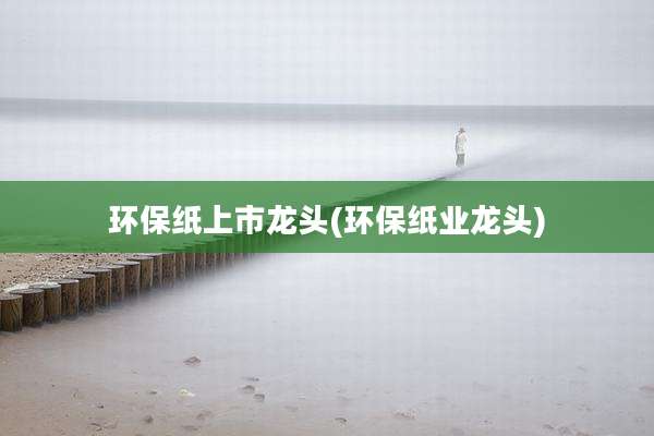 环保纸上市龙头(环保纸业龙头)