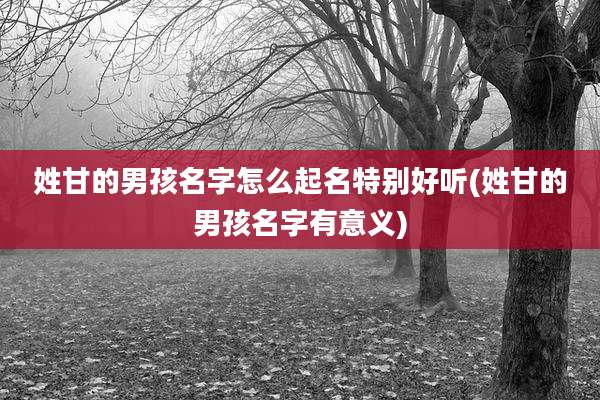 姓甘的男孩名字怎么起名特别好听(姓甘的男孩名字有意义)