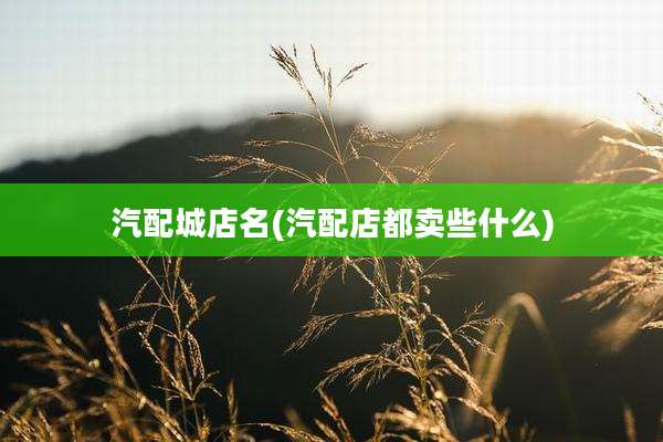 汽配城店名(汽配店都卖些什么)