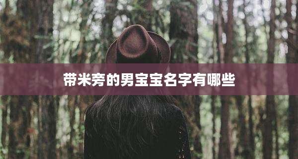 带米旁的男宝宝名字有哪些