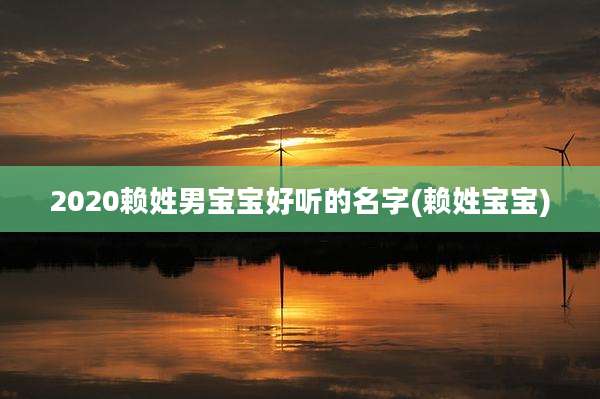 2020赖姓男宝宝好听的名字(赖姓宝宝)