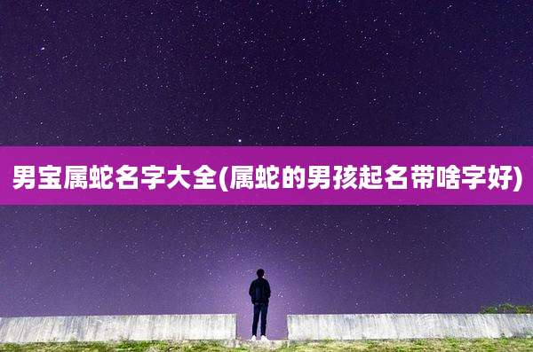 男宝属蛇名字大全(属蛇的男孩起名带啥字好)