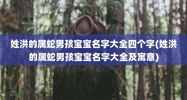 姓洪的属蛇男孩宝宝名字大全四个字(姓洪的属蛇男孩宝宝名字大全及寓意)