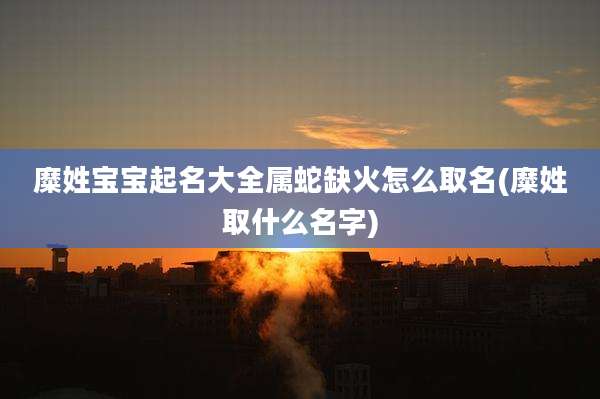 糜姓宝宝起名大全属蛇缺火怎么取名(糜姓取什么名字)
