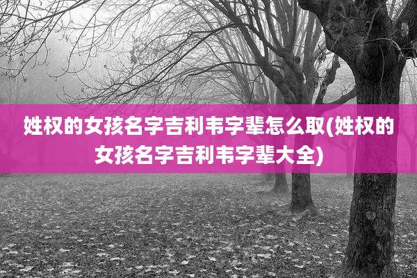 姓权的女孩名字吉利韦字辈怎么取(姓权的女孩名字吉利韦字辈大全)